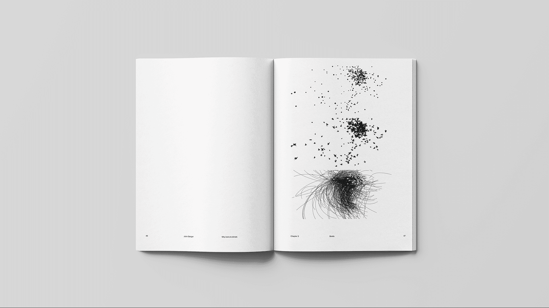 Why look at animals? Design Mockup 12