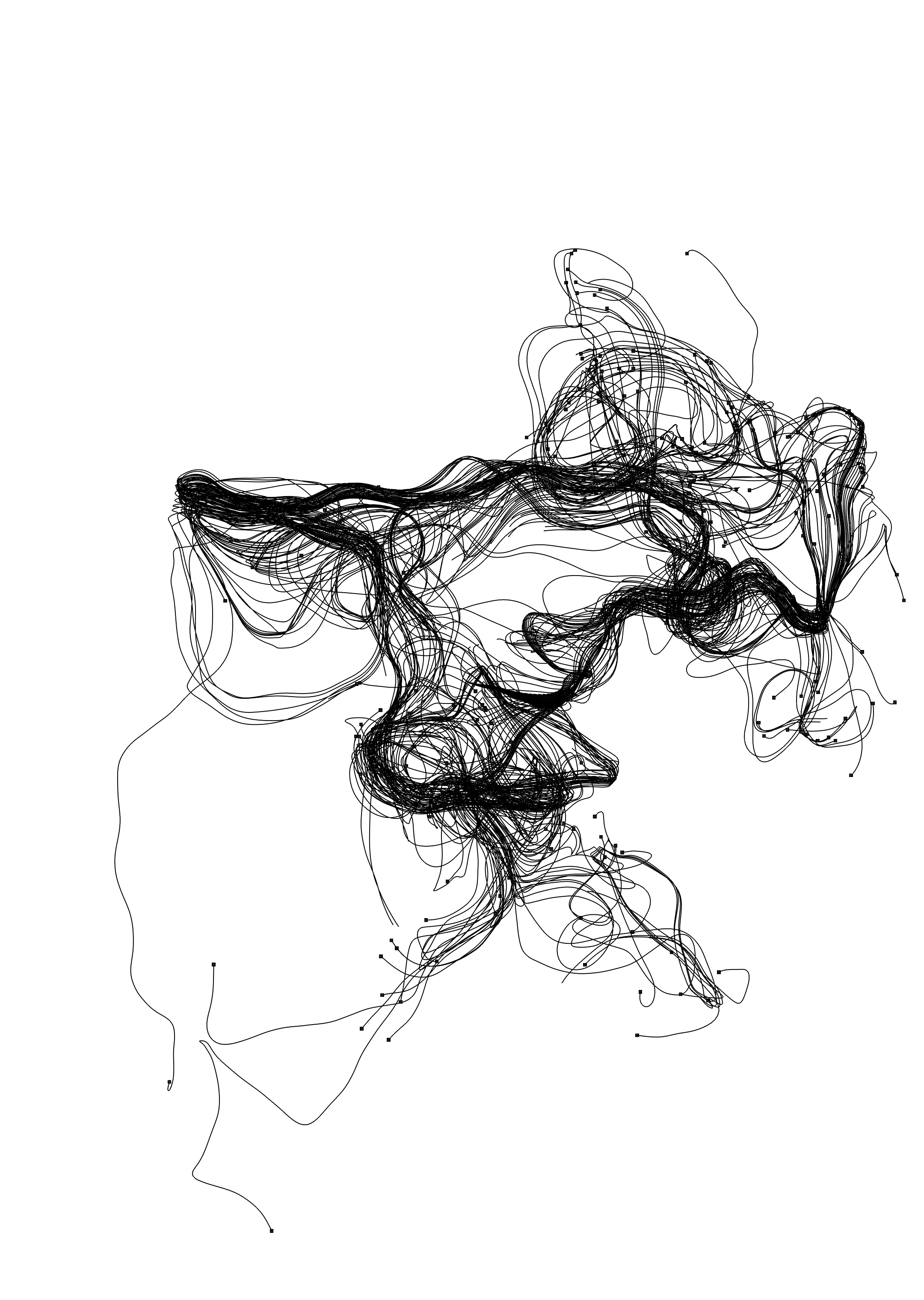 Why look at animals? Design Mockup 16