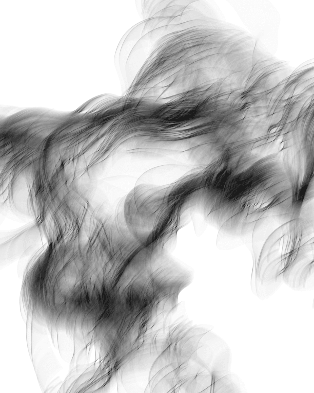 Why look at animals? Design Mockup 20