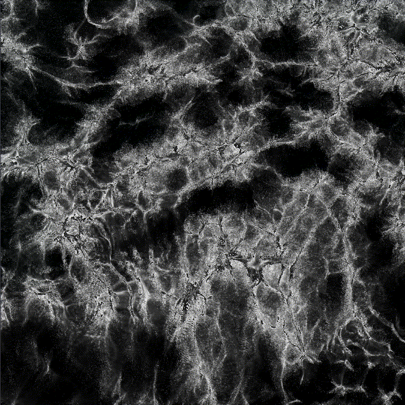 Archive Item TD-mono-aqua-RnD-05-1761499368021.gif